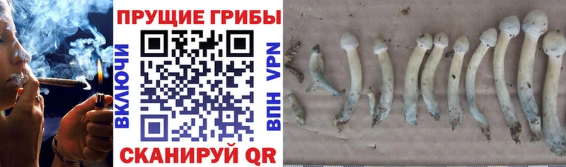 Галлюциногенные грибы ЛСД Ермолино